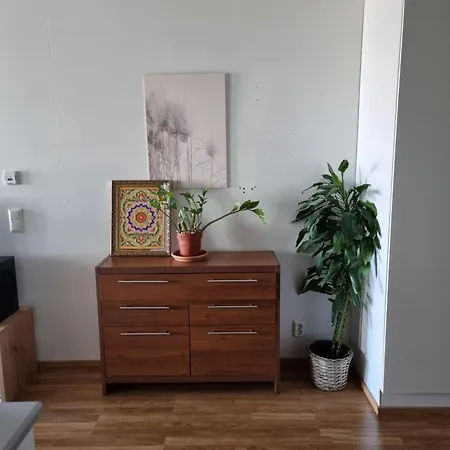 Studio Apartement In Kallio Helsinki Extérieur photo